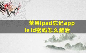 苹果ipad忘记apple id密码怎么激活